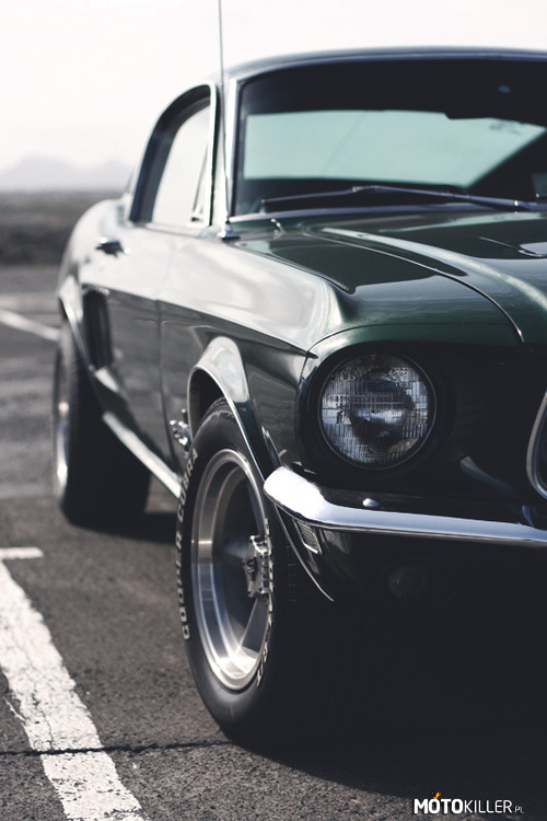 Dzieło klasyki – Ford Mustang Fastback &apos;68 