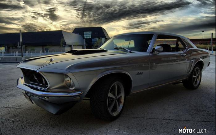 Mustang – Piękna bestia 