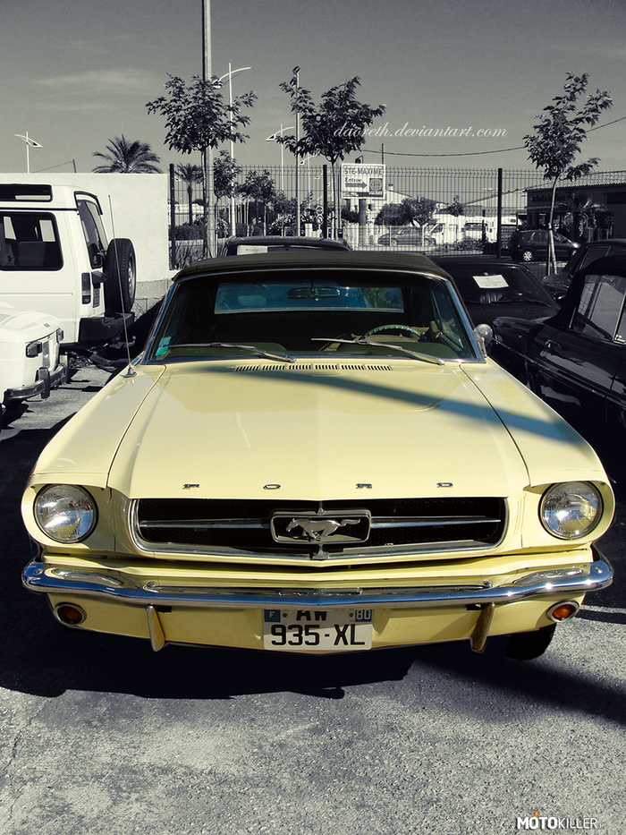 Mustang – Złapany w Sainte-Maxime. Zdjęcie oczywiście mojego autorstwa

(Podpis na zdjęciu to link do mojej strony.) 