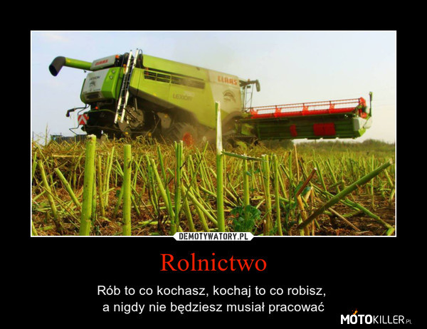 Rolnictwo –  