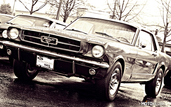 &apos;65 Mustang –  