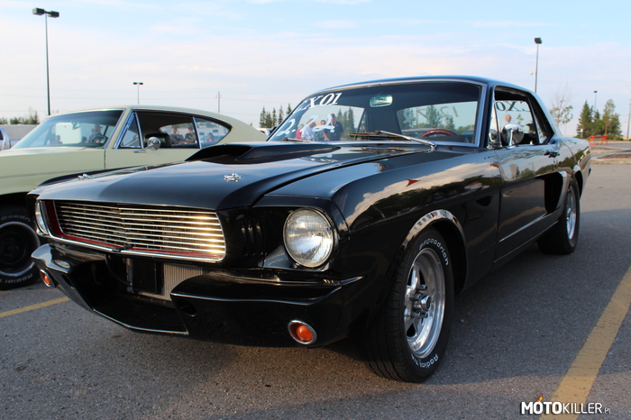 Mustang &apos;66 –  