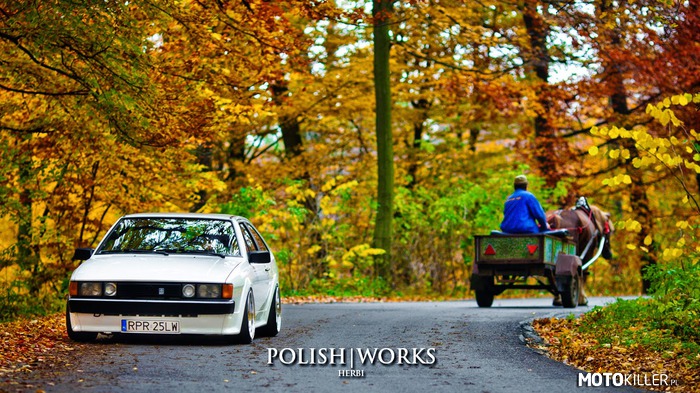 Kiedyś wystarczył jeden koń – dziś 100KM to za mało.
VW Scirocco 53B GTX 2.0 194 km Piękny bo polski! 