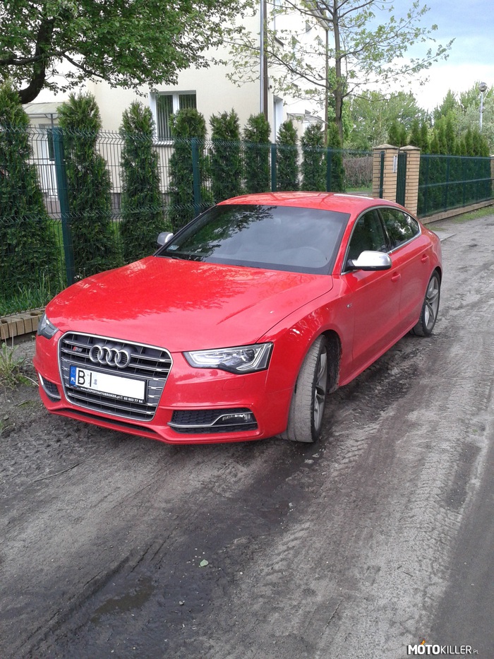 Audi S5 – Jedno słowo: piękne 