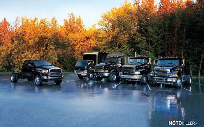 Sterling Trucks –  