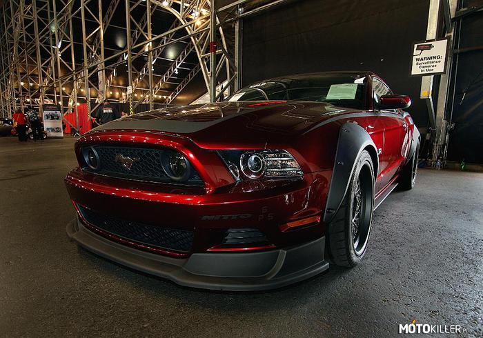 Mustang GT 2012 – Kiedy zapada zmrok, Mustang wyjeżdża na żer 
