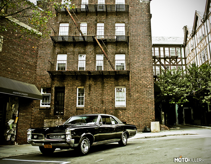 Pontiac GTO - uliczny gangster –  