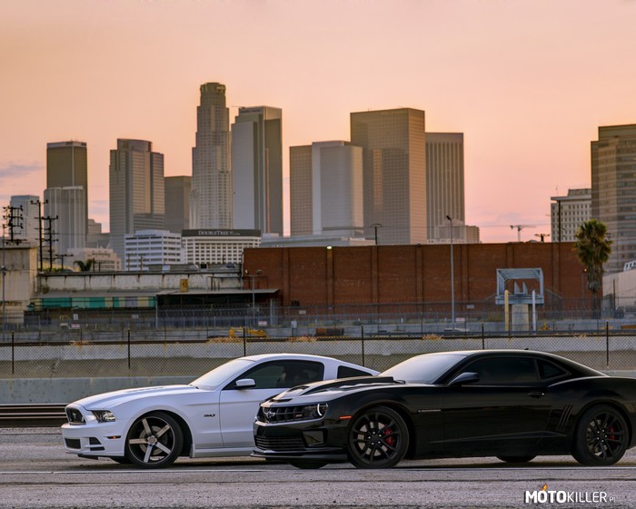 Mustang and Camaro –  