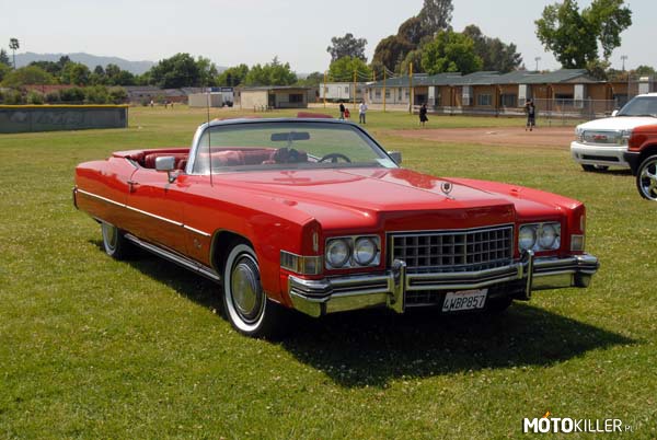 Auta z &quot; 60 sekund &quot; – Auto nr 6. Cadillac El Dorado 1973r. - Madeline

Silnik - V8 ok. 8.2 cm³

Moc maksymalna: 190 KM w wersji gaźnikowej i 215 KM z wtryskiem paliwa
Kryzys paliwowy powodował skuteczne obniżanie mocy silników w autach amerykańskich.

Długość pojazdu wynosi 5,7 m.

Od 1971 roku zaczęto budować auto z otwartym nadwoziem, który nie różnił się technicznie od swoich poprzedników.
Wyprodukowano ponad 51 tyś. egzemplarzy.

Zapisał się w historii jako ostatni amerykański kabriolet lat siedemdziesiątych w połowie, których ze względu na nowe regulacje kabriolety uznano za niebezpieczne.

Cena auta na rynku amerykańskim oscyluje w okolicach 15 tyś dolarów (około 46 tyś zł).

Przepraszam za kilkudniową nieobecność :) 