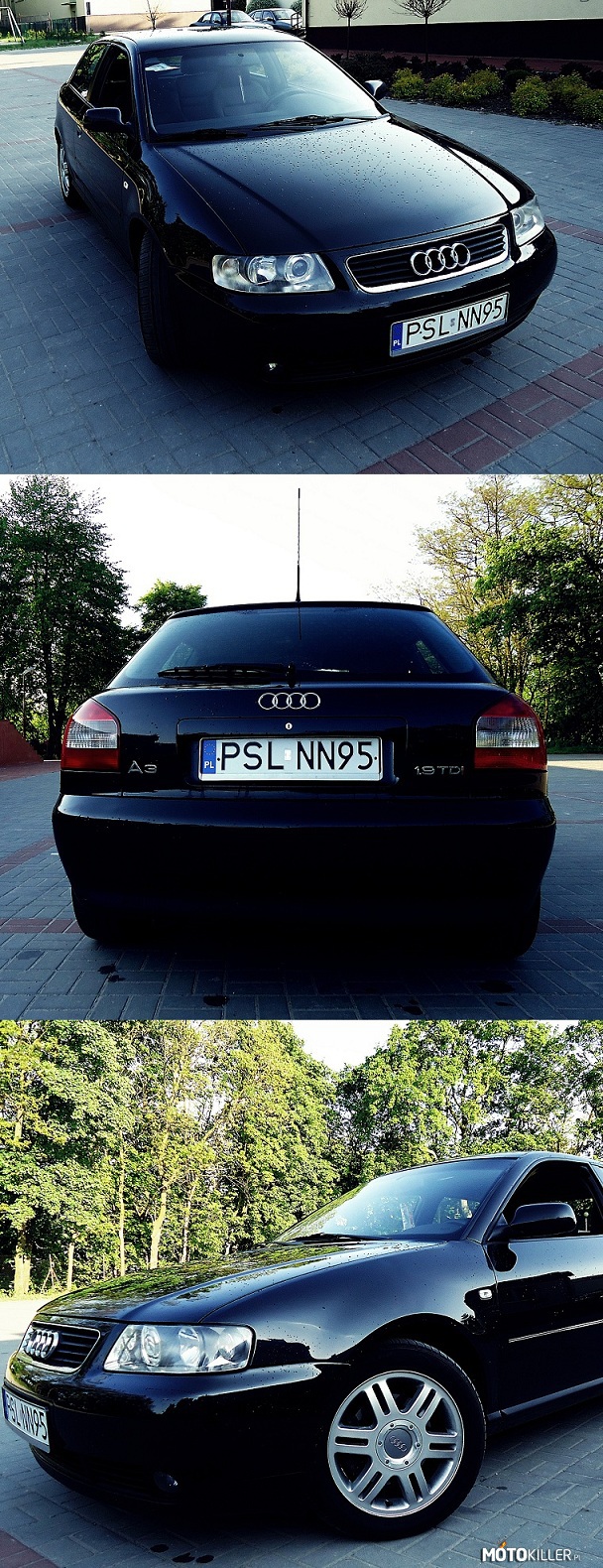 Audi A3 1.9tdi 130KM 310nm – Moja &quot;Mała Czarna&quot; 