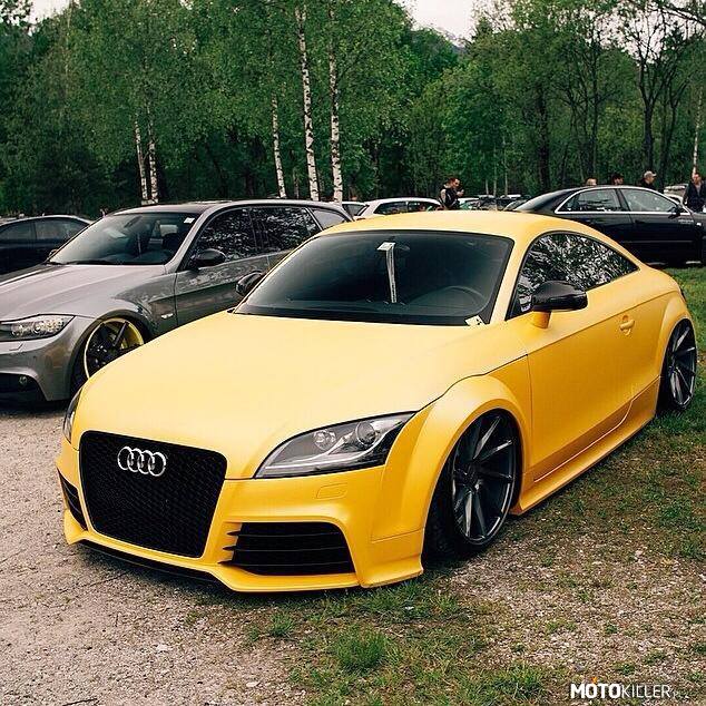 Piękna Audi –  
