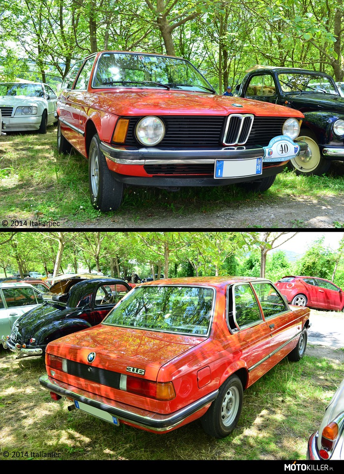 BMW 316 – Ale za to jaka. 
