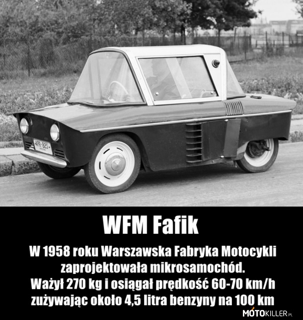 WFM Fafik – Wiedzieliście? 