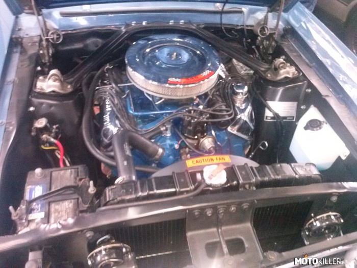 Targi ami 2014 #6 – Silni Ford Mustang. 