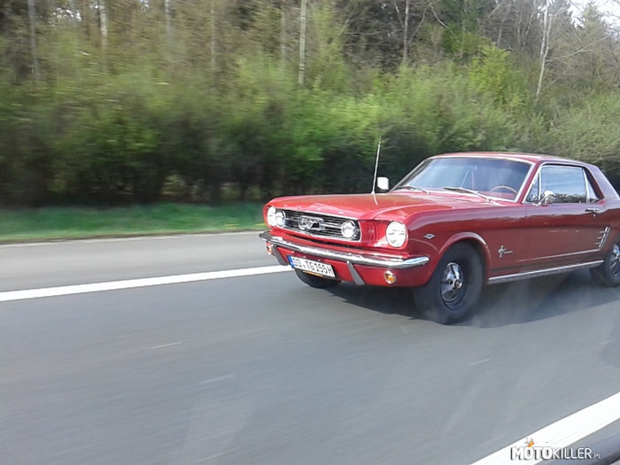 Ford Mustang &apos;66 – W drodze do Niemiec. 