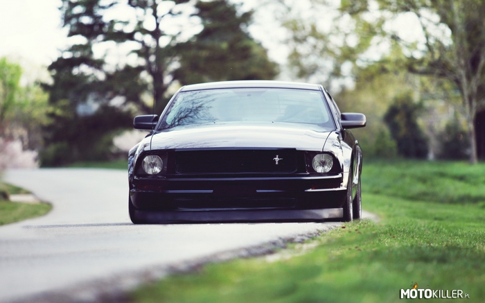Mustang Lowrider –  