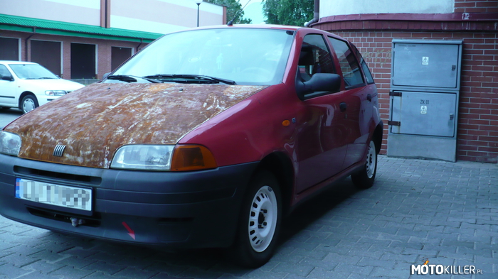 Fiat Punto – Kropek w nieco innym wydaniu, co myślicie? 