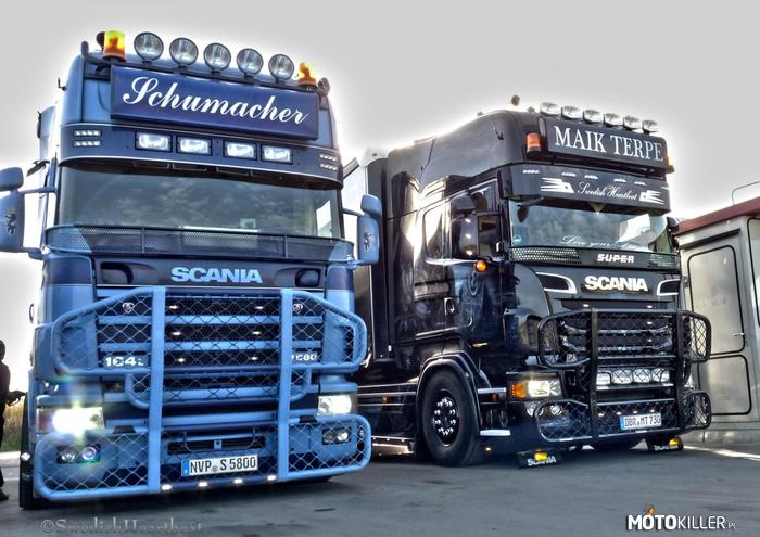 Scania 164L 580 Schumacher & Scania Super R500 Maik Terpe –  