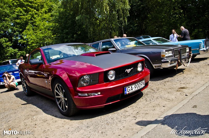 Mustang i przyjaciele – American Moto Show 2014. 