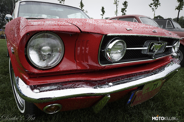 Mustang – Na Motoclassic pomimo deszczu robiło się gorąco od patrzenia na takie samochody. 