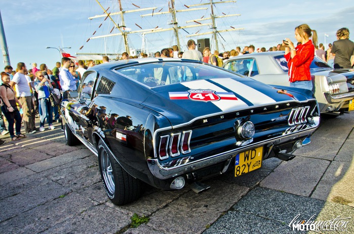 Ford Mustang Fastback – Mustang Race 2014 - Gdynia 14.08.2014 