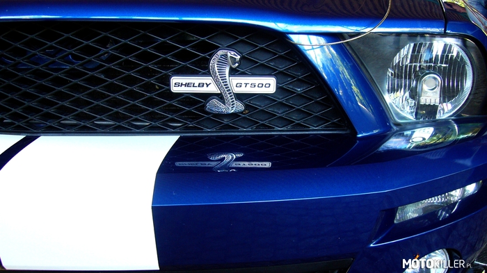 Zlot Mustanga Kudowa Zdrój 2012 - GT 500 –  