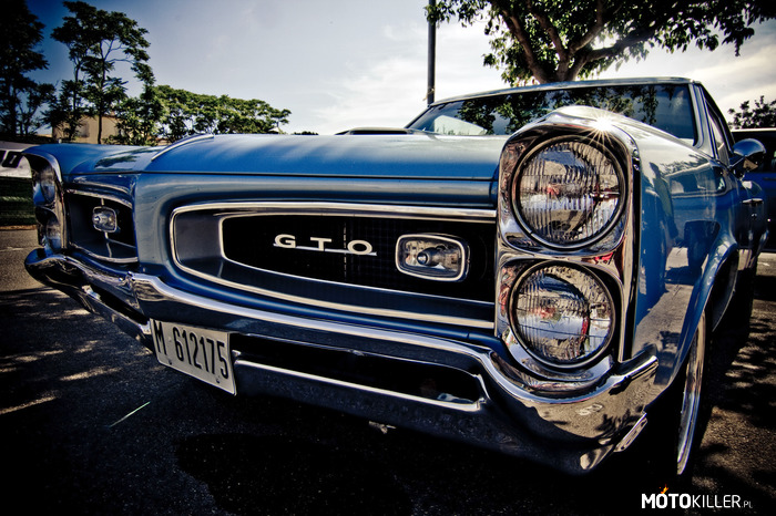 64&apos;-67&apos; Pontiac GTO – Moja pierwsza miłość do amerykańskich mięśniaków (trochę pedalsko zabrzmiało, a co tam).

Początkowo GTO to był tylko opcją do modelu Tempest, zamiast standardowej 5.3 litrowej jednostki, znalazł się pod maską 6.4 litrowy potwór.
Dopiero w 1966 GTO stało się osobnym modelem. 