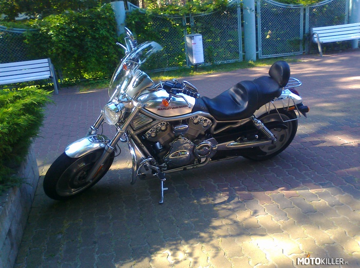 Harley Davidson – Na praktykach w Juracie. 