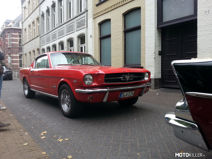 Ford Mustang – Piękny klasyk napotkany w Holenderskim mieście Venlo. 