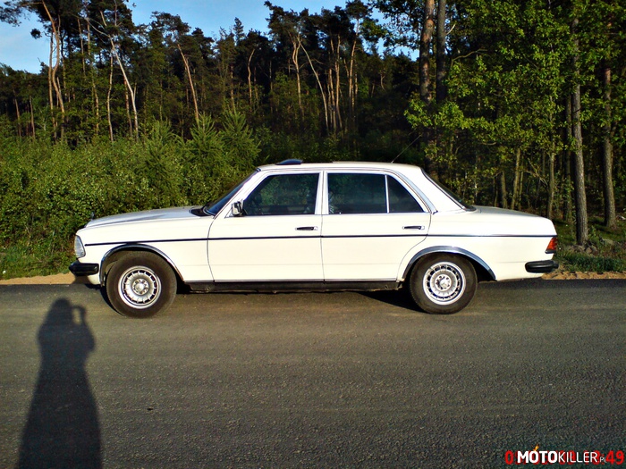 Biała Gwiazda – Mercedes-Benz W123, 240D, 1982 r.
Alusy Intra 14&quot; na oponach Goodyear GT2. 