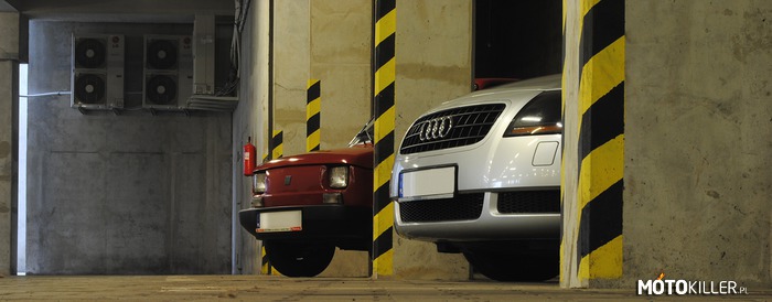 Kaszlak i Audi TT – Kolejne zdjęcie z dzisiejszej sesji, według mnie ciekawe ujęcie. 
