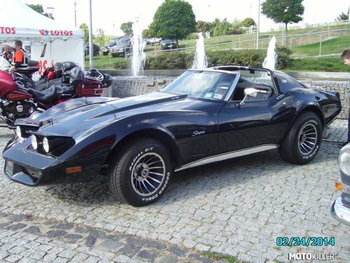 Corvette – Trójmiejskie targi 27.09. 