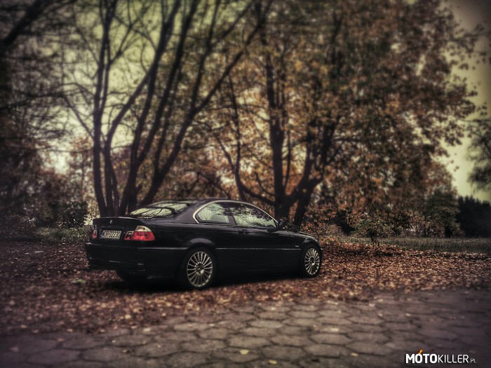BMW E46 – No i przyszła jesień. 
