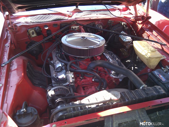 Zdecydowanie jest moc! – Cudny motor w cudnym wozie - Dodge Charger 1974. 