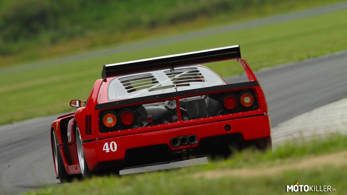 F40 LM –  