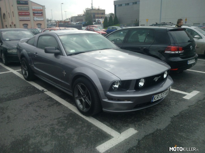 Mustang – Przyłapany na parkingu. 