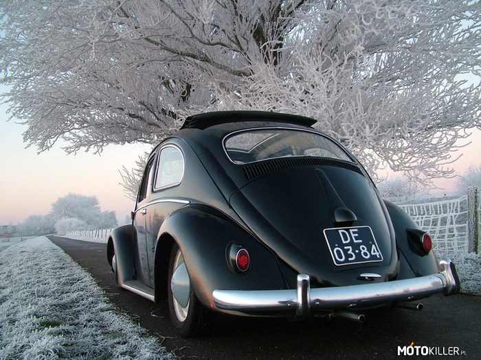 VW Käfer w zimowej aurze –  