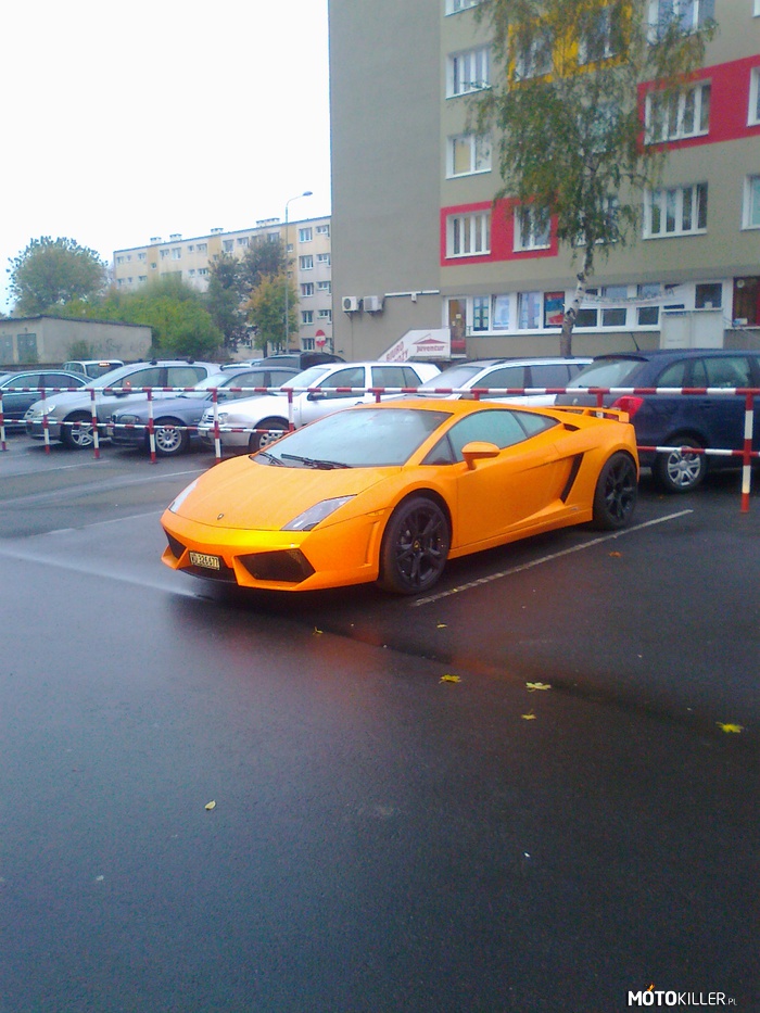 Lamborghini – Spotkany w Koninie. 