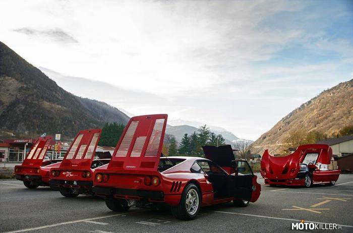 Ferrari – 288 GTO, 288 GTO, 288 GTO i F50 