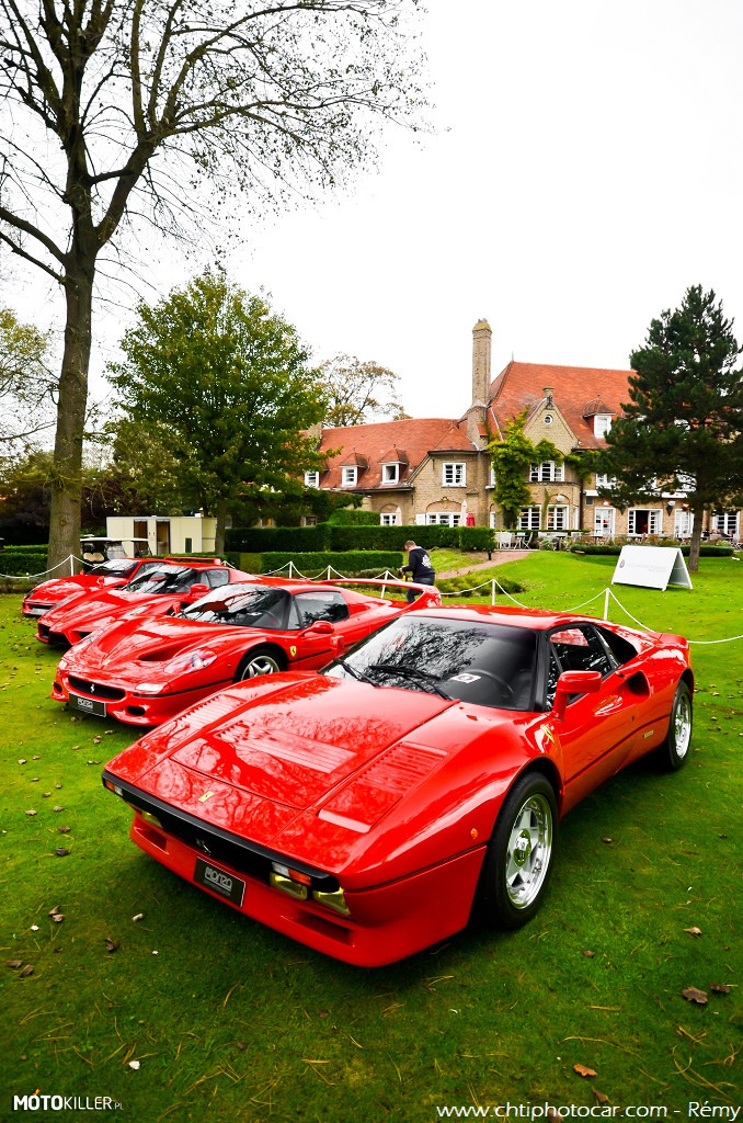 Ferrari – 288 GTO, F50, Enzo i F40 