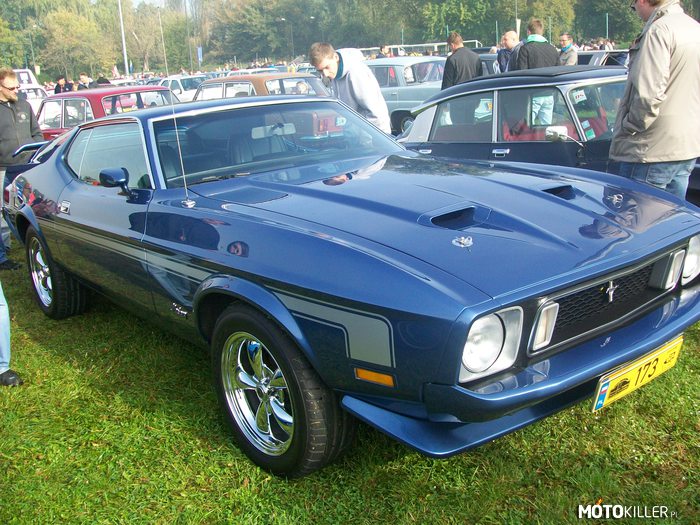 Mustang – Mach 