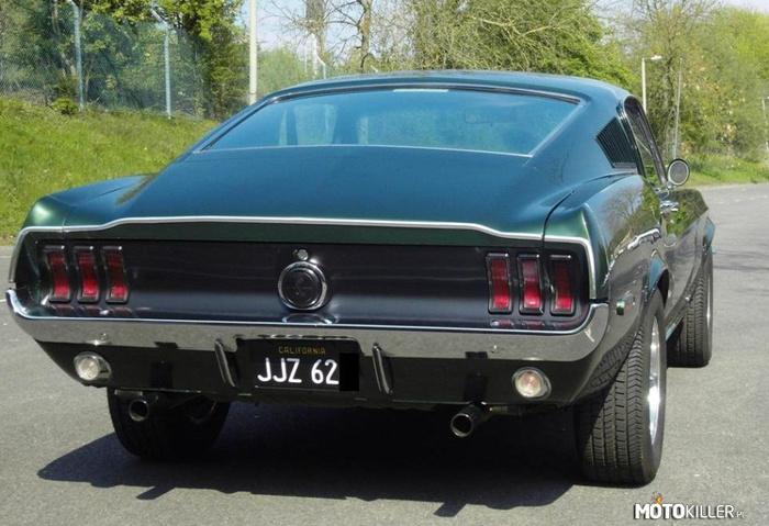 Mustang Fastback –  