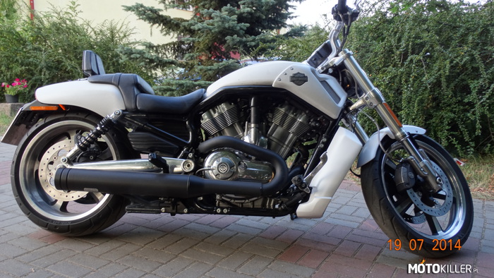 Atomowy zlot motocyklowy 2014 – Piękny Harley 