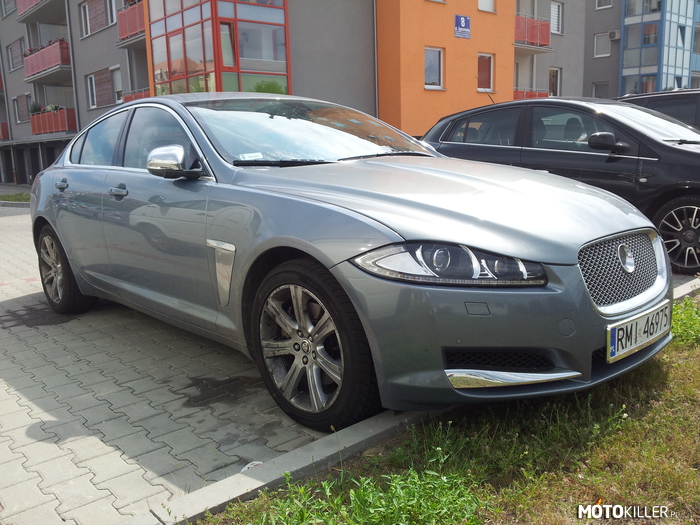 Jaguar XF – Spotkany w Mielcu. 