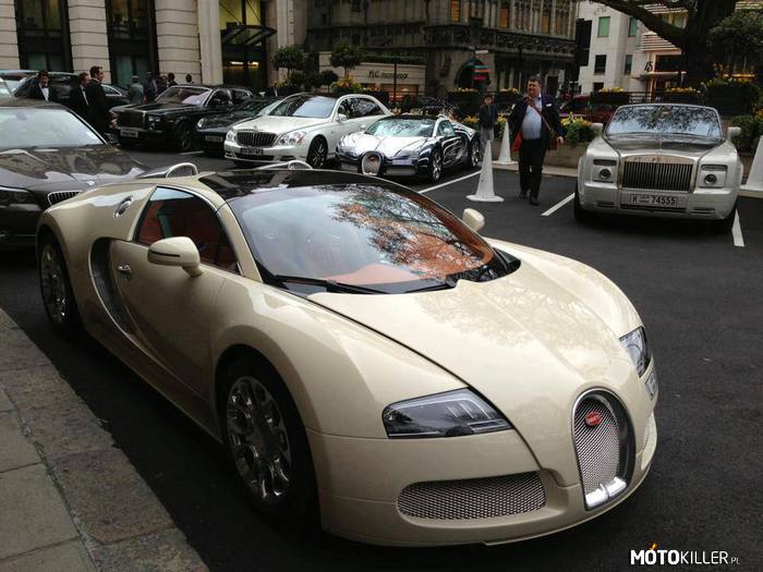 Jest w czym wybierać – Na pierwszym planie Bugatti, ale autami z tyłu też by nie pogardził. 