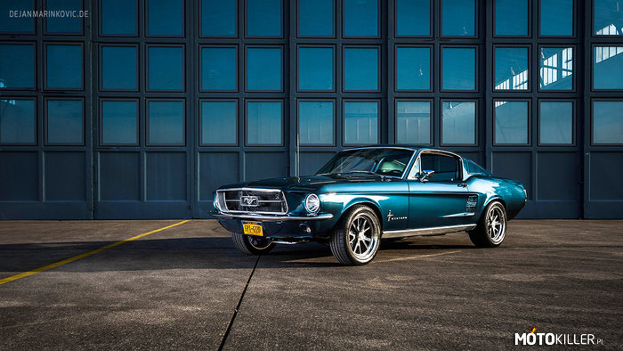 Mustang Fastback 1967r –  