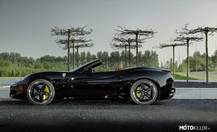Ferrari California Spider by Edo –  