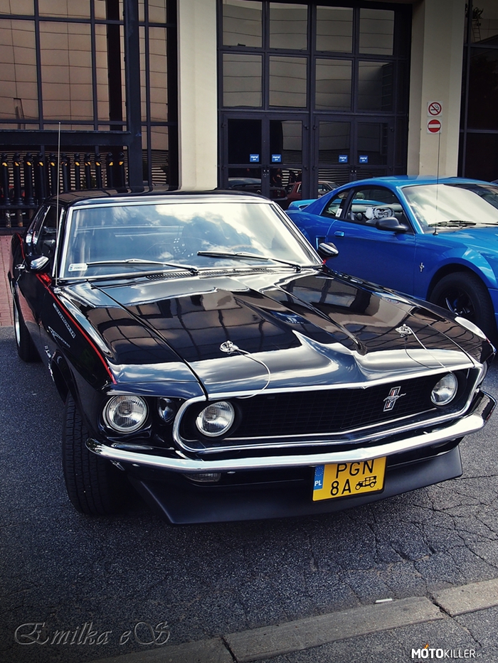 Ford Mustang – Mustang z 1969 roku (sportsroof 302). 