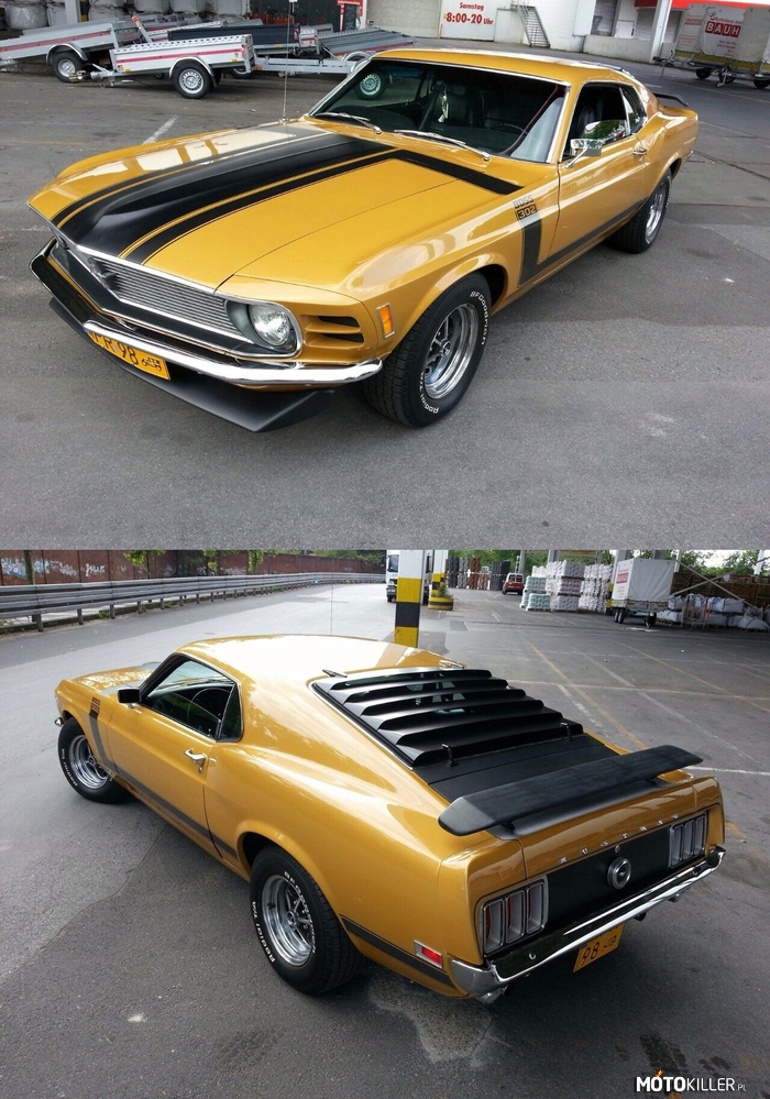 Ford Mustang Boss 302 Fastback –  
