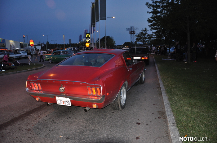 Mustang Fastback –  